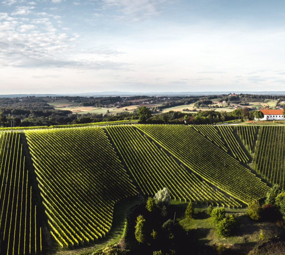 Dveri Pax Weinberge