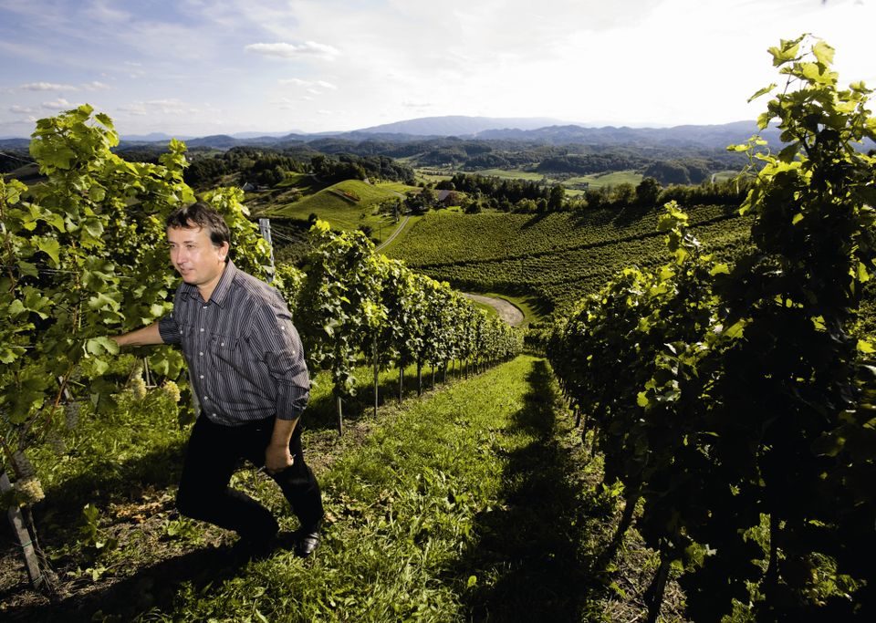 Dveri Pax Weinberg